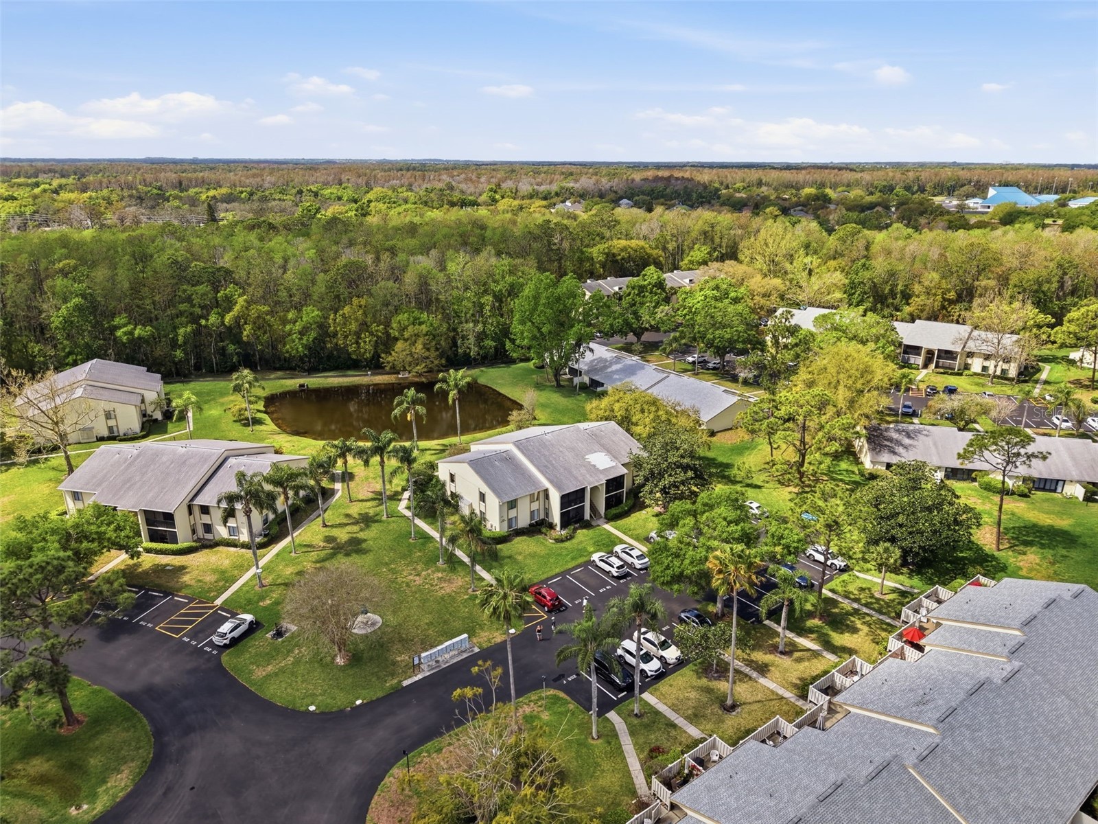 1488 Pine Glen Lane #B2 Tarpon Springs FL 34688 TB8486714 image59
