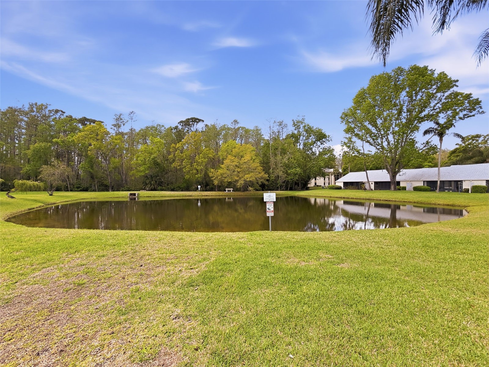 1488 Pine Glen Lane #B2 Tarpon Springs FL 34688 TB8486714 image6