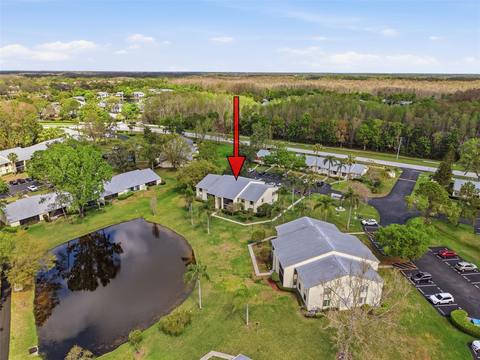 1488 Pine Glen Lane #B2 Tarpon Springs FL 34688 TB8486714 image60