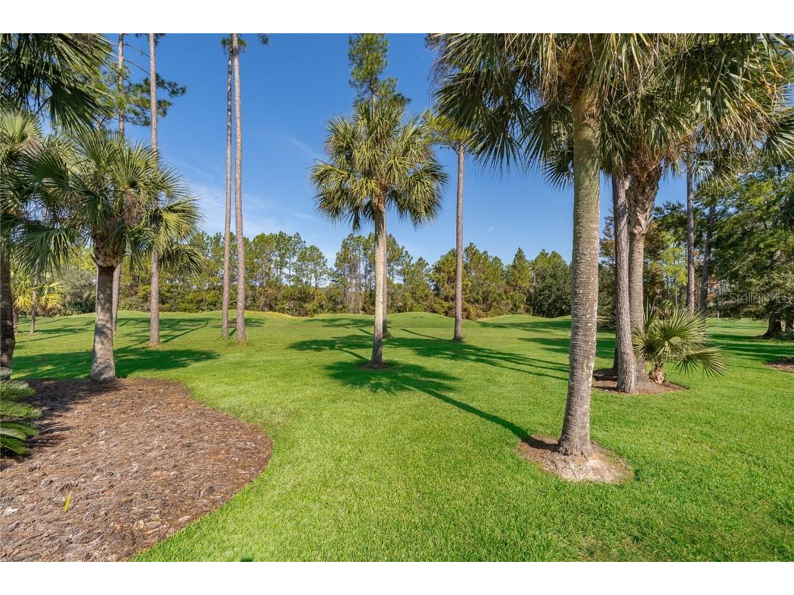 1488 Redwood Grove Terrace Lake Mary FL 32746 O6364102 image32