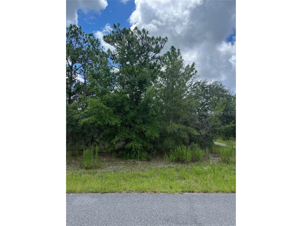 1488 W Donner Drive Citrus Springs FL 34434 OM642661 image1