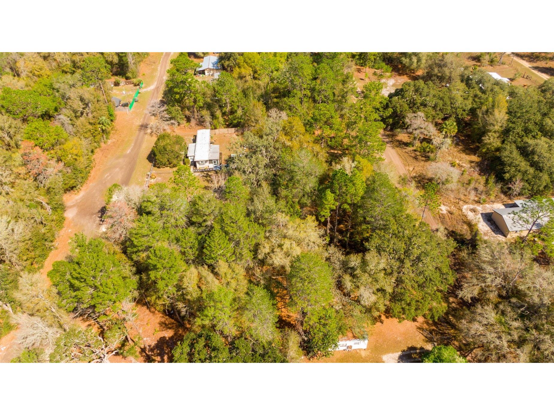 14881 NE 147th Avenue Fort Mc Coy FL 32134 OM720629 image23