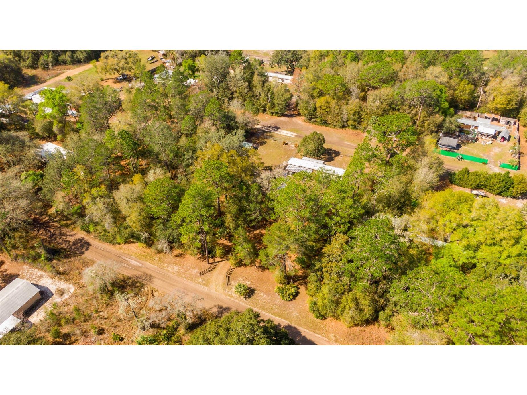 14881 NE 147th Avenue Fort Mc Coy FL 32134 OM720629 image27