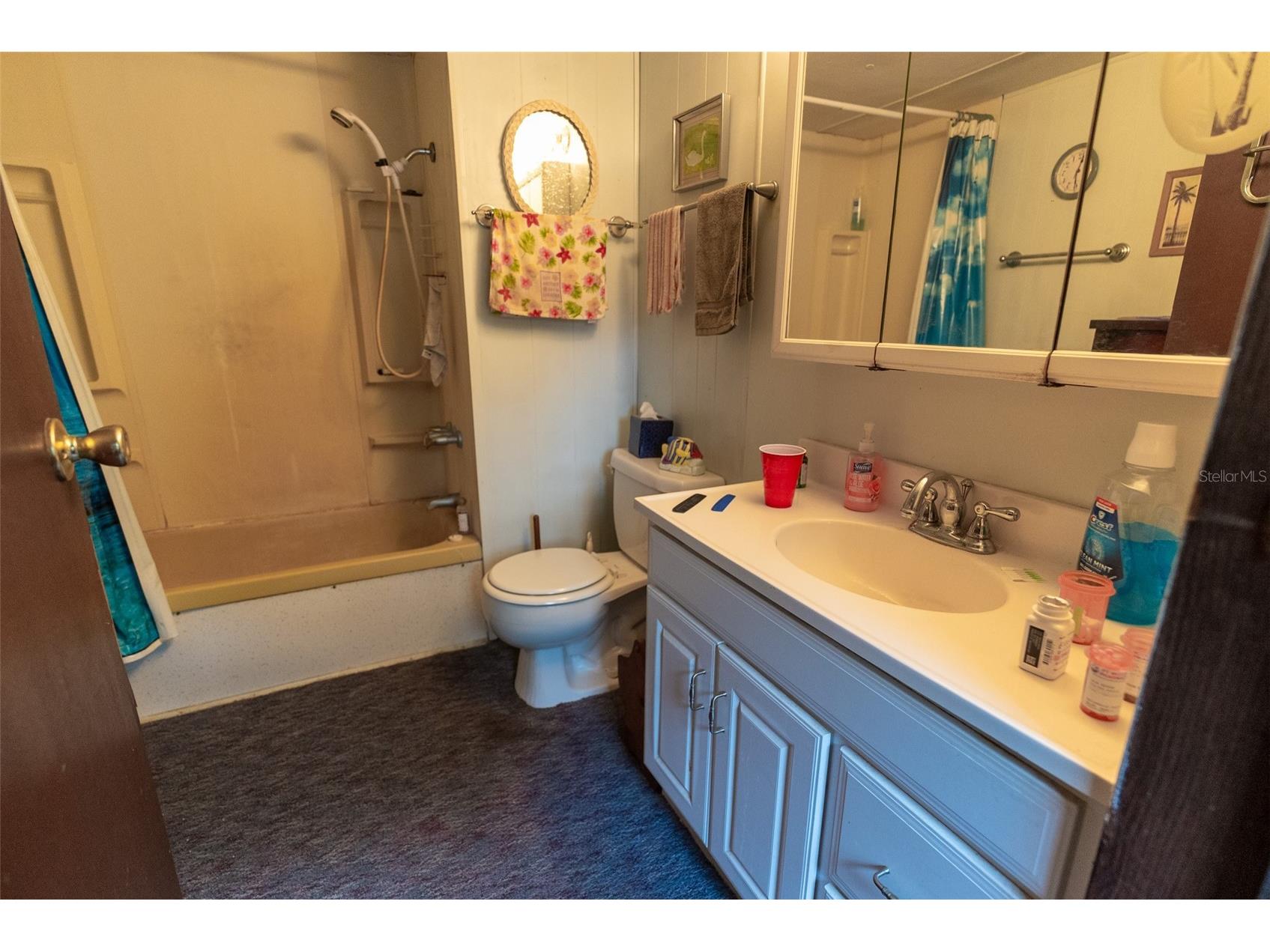 14881 NE 147th Avenue Fort Mc Coy FL 32134 OM720629 image48