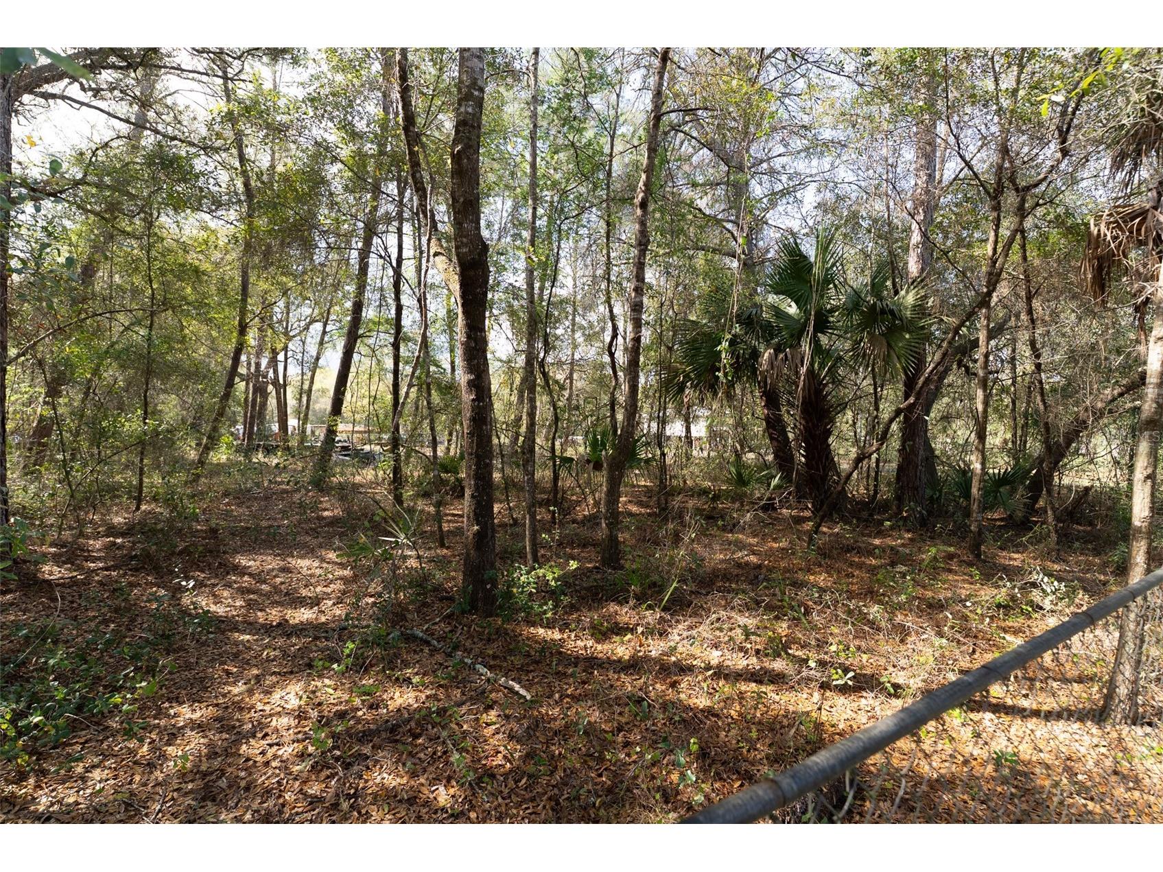 14881 NE 147th Avenue Fort Mc Coy FL 32134 OM720629 image77