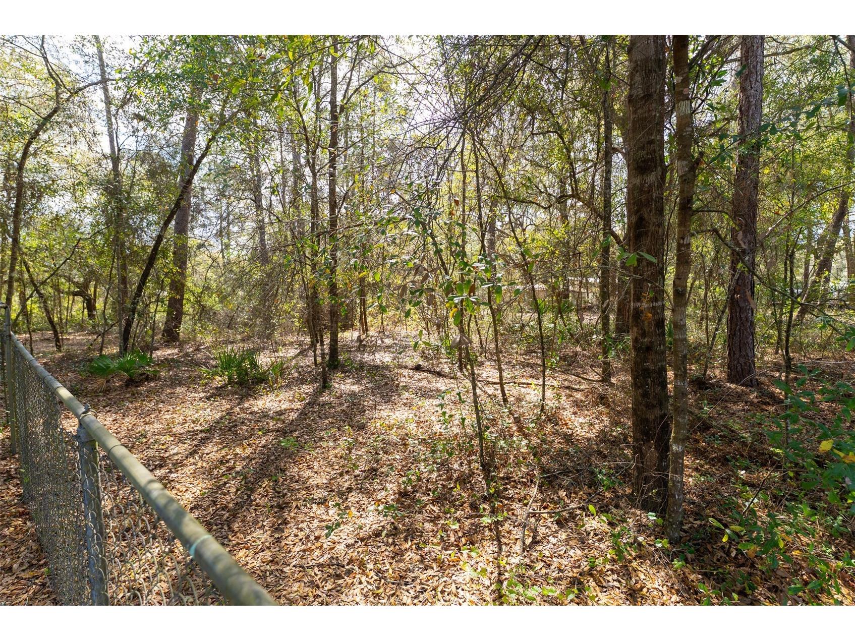 14881 NE 147th Avenue Fort Mc Coy FL 32134 OM720629 image78