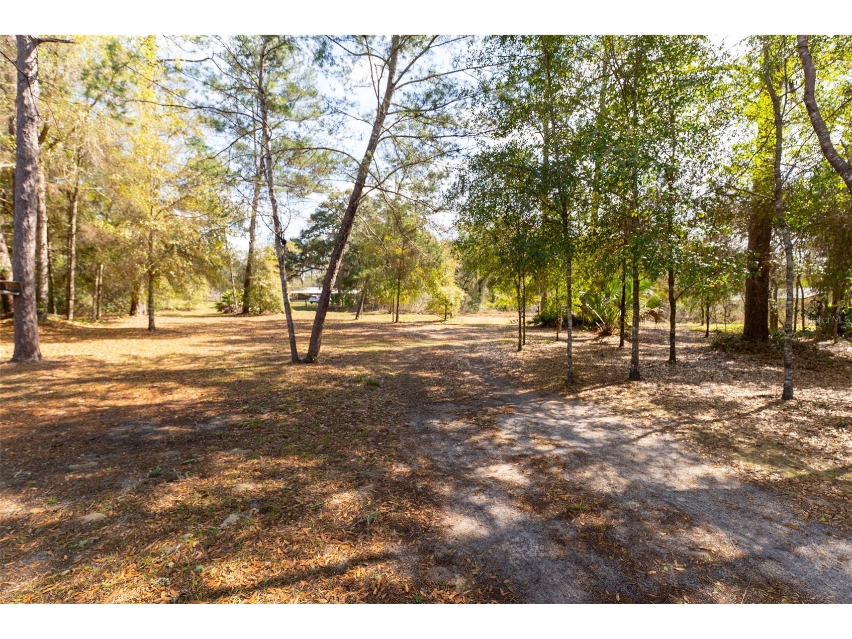 14881 NE 147th Avenue Fort Mc Coy FL 32134 OM720629 image82