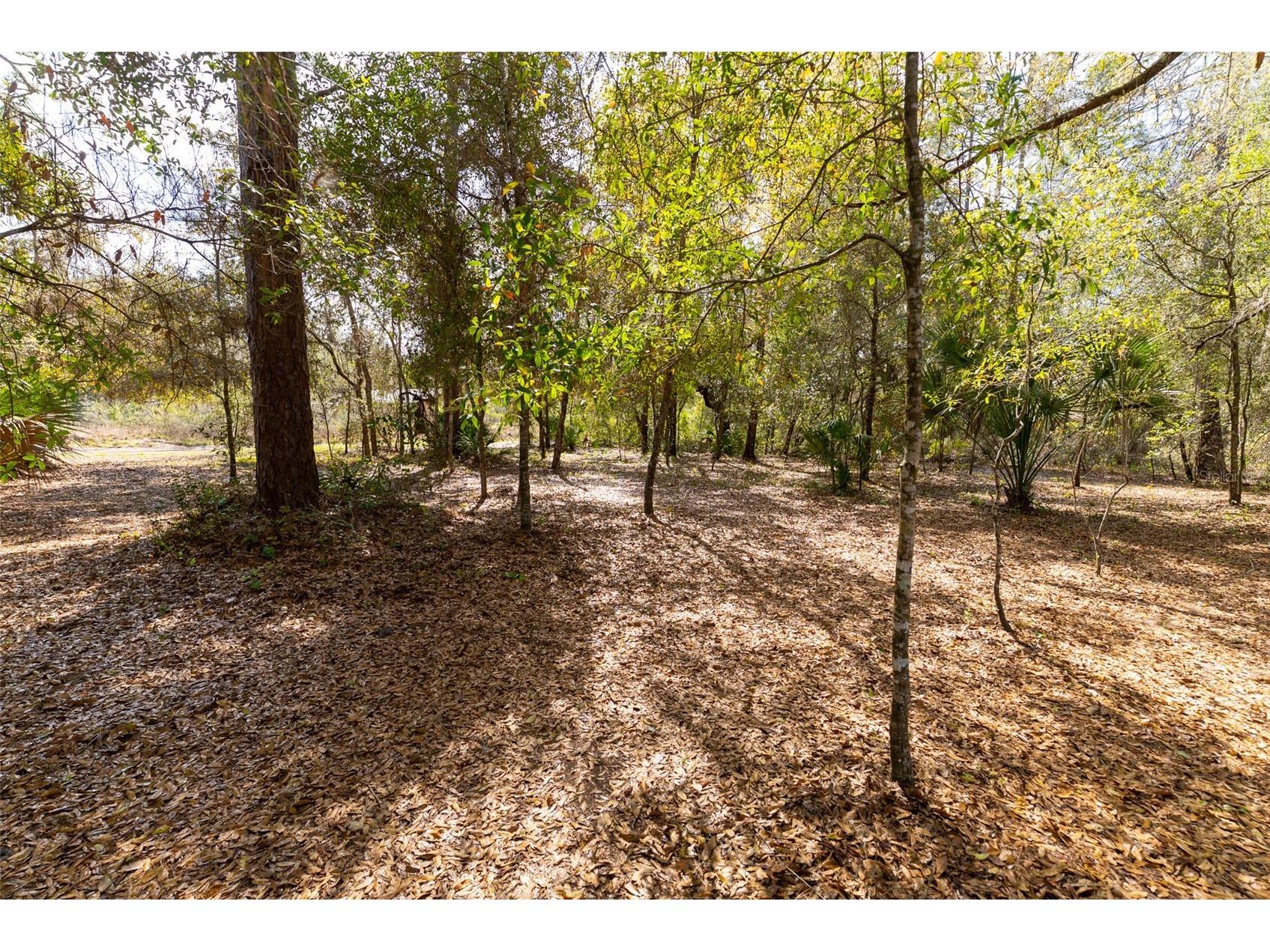 14881 NE 147th Avenue Fort Mc Coy FL 32134 OM720629 image83