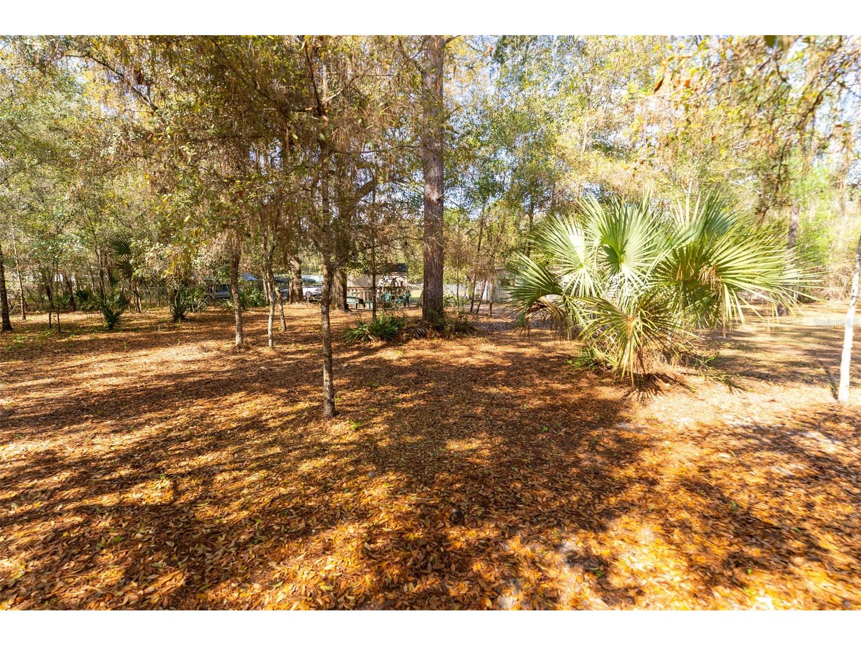 14881 NE 147th Avenue Fort Mc Coy FL 32134 OM720629 image87
