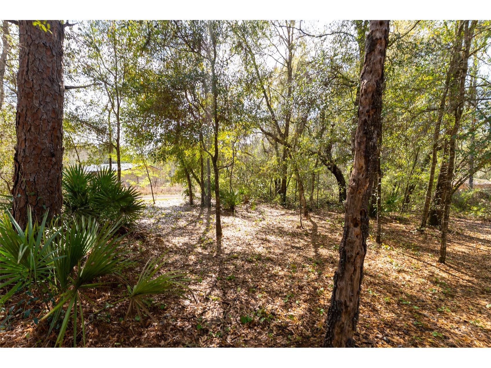 14881 NE 147th Avenue Fort Mc Coy FL 32134 OM720629 image88