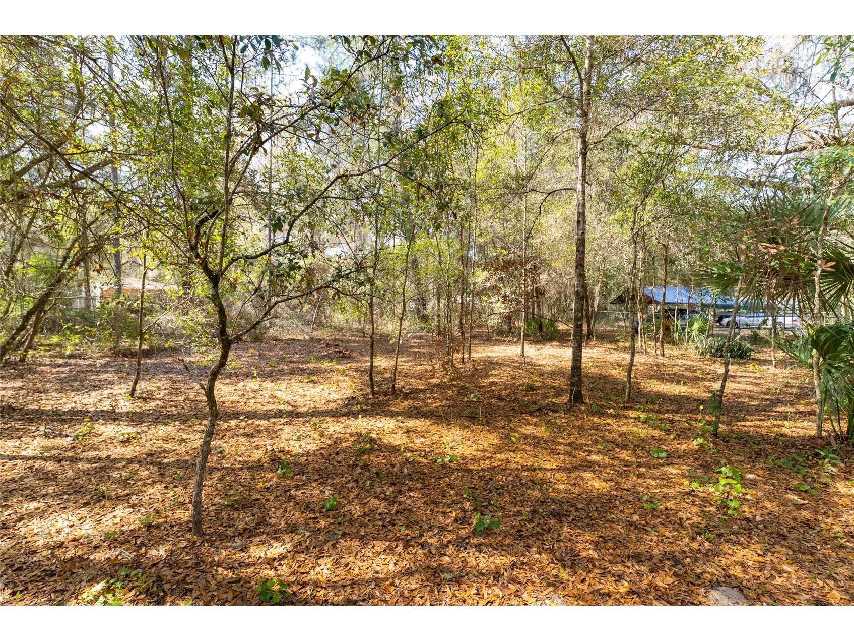 14881 NE 147th Avenue Fort Mc Coy FL 32134 OM720629 image89