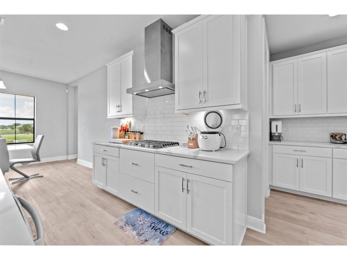 14885 Paddock Pond Avenue Lithia FL 33547 TB8414153 image13