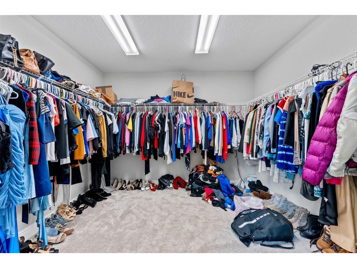 14885 Paddock Pond Avenue Lithia FL 33547 TB8414153 image25