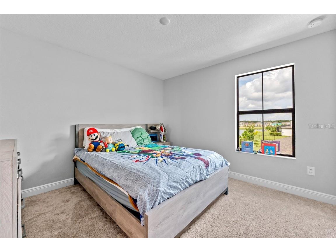 14885 Paddock Pond Avenue Lithia FL 33547 TB8414153 image33