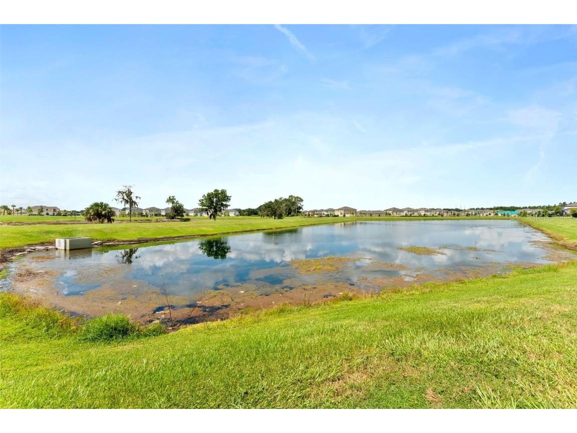 14885 Paddock Pond Avenue Lithia FL 33547 TB8414153 image39