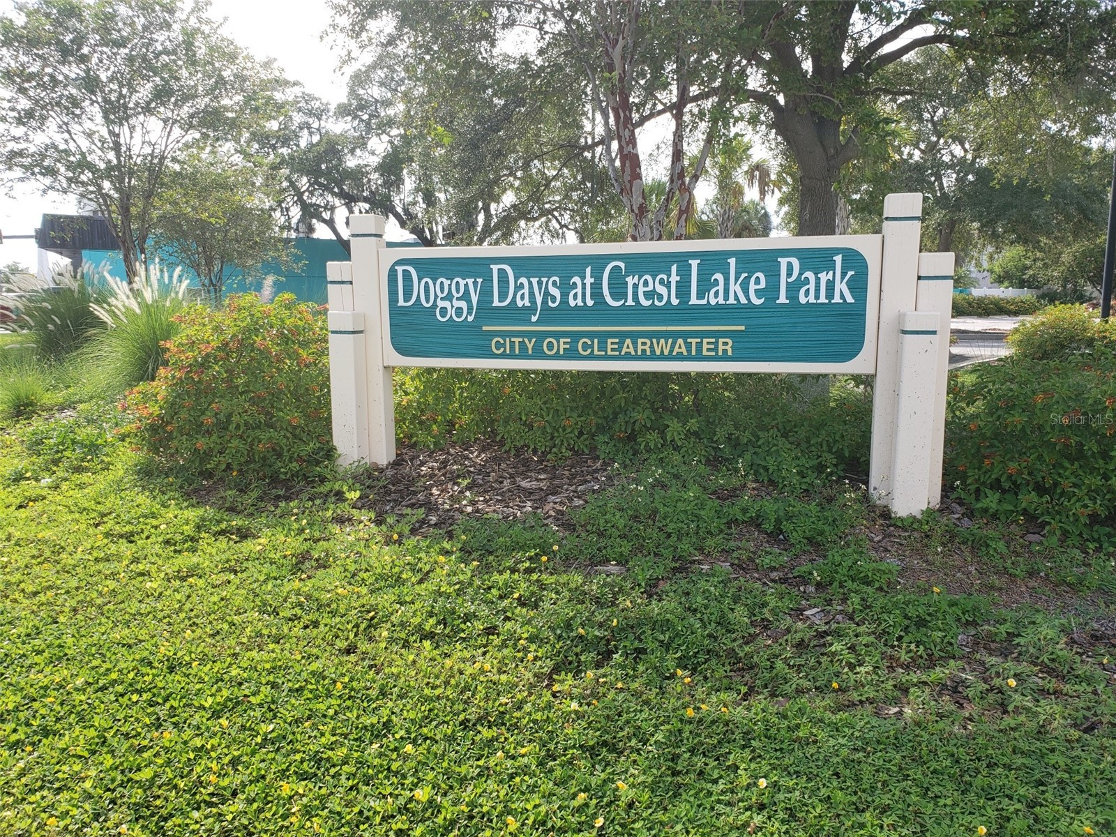 1489 De Leon Street Clearwater FL 33755 TB8460559 image14