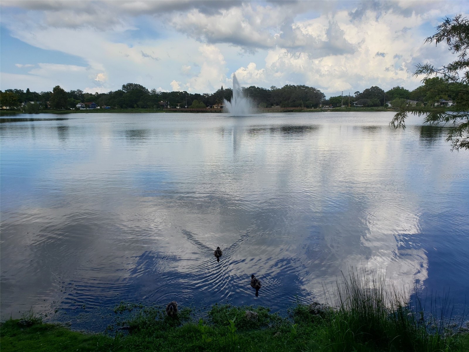 1489 De Leon Street Clearwater FL 33755 TB8460559 image17