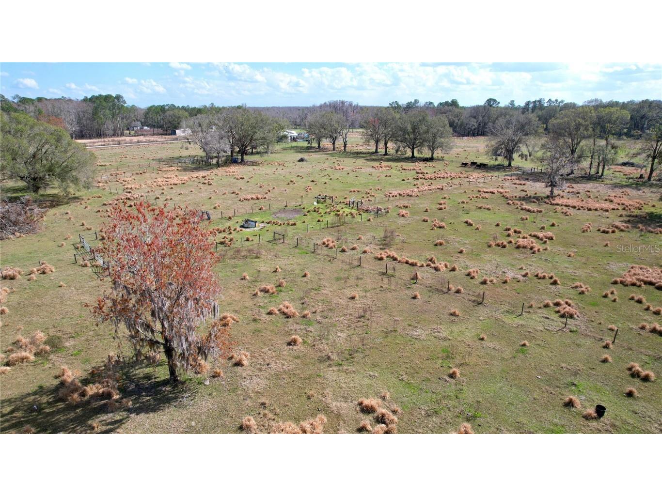 14890 Cr 757 Webster FL 33597 TB8424487 image11