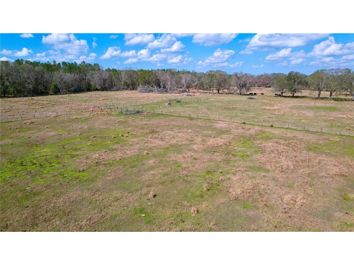 14890 Cr 757 Webster FL 33597 TB8424487 image9