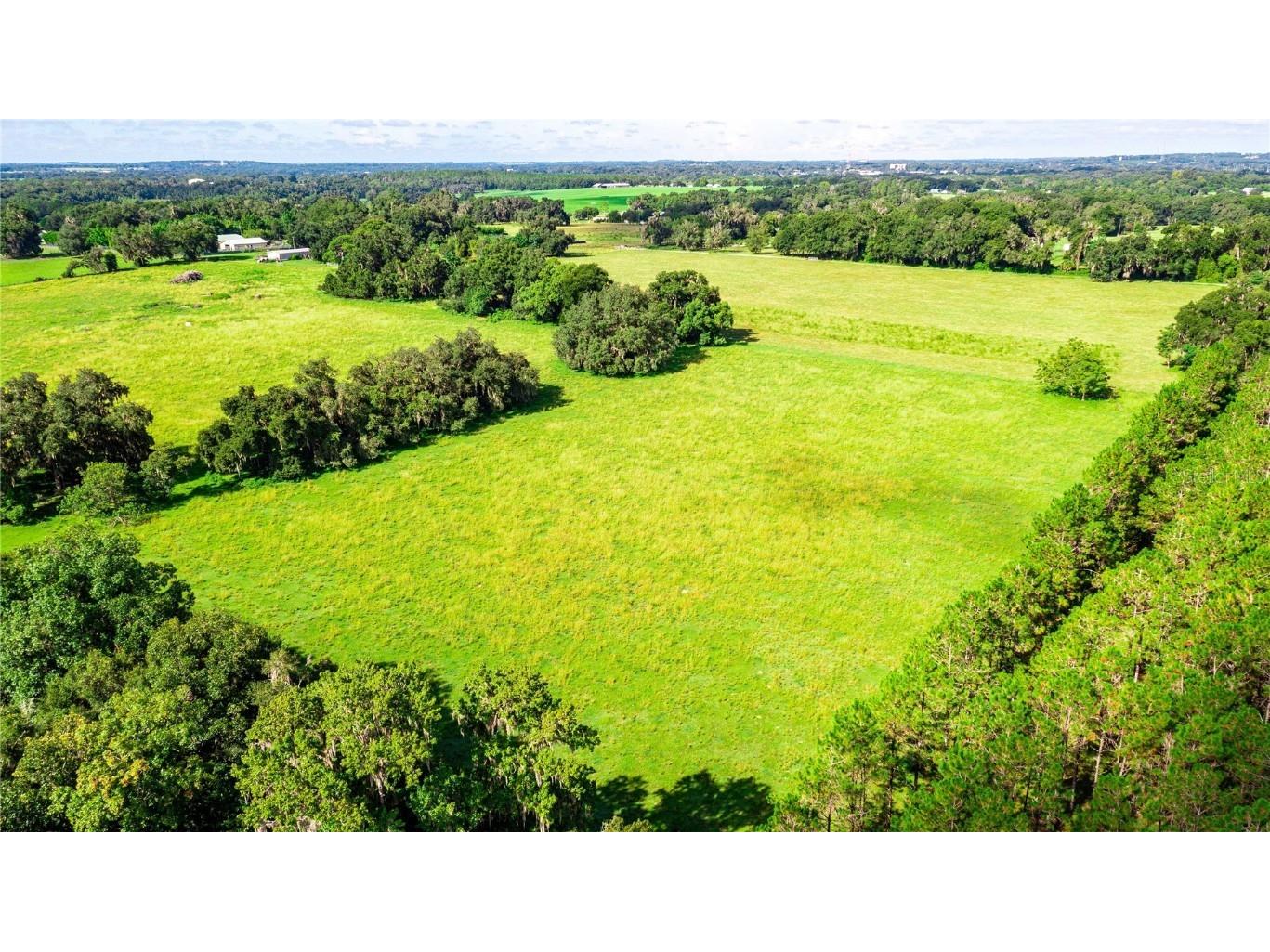 14892 Puckett Road Dade City FL 33525 T3350754 image1