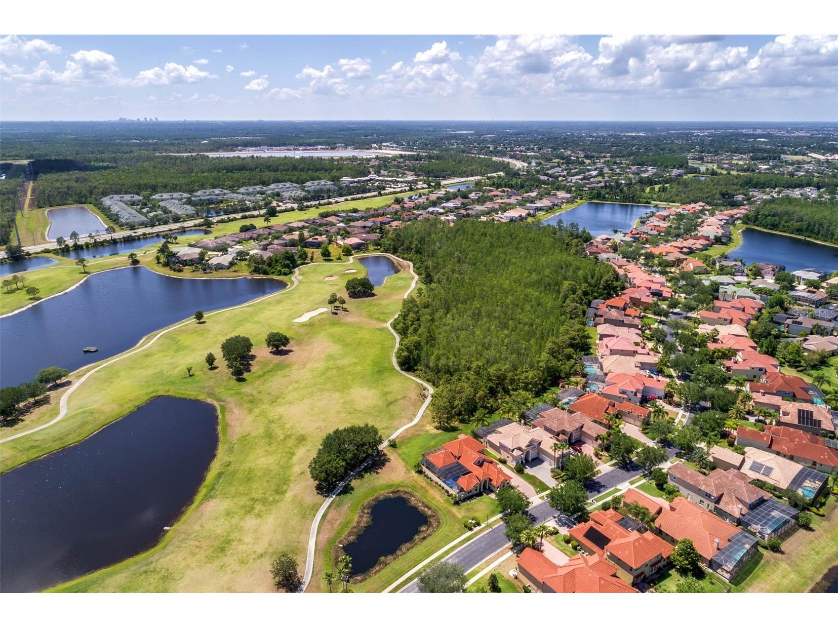 14895 Hartford Run Drive Orlando FL 32828 O6386888 image43