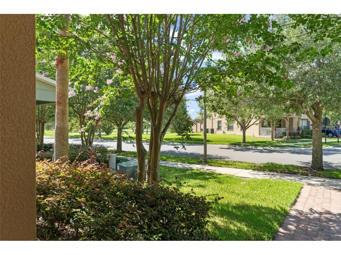 14897 Evergreen Oak Loop Winter Garden FL 34787 O6320381 image41