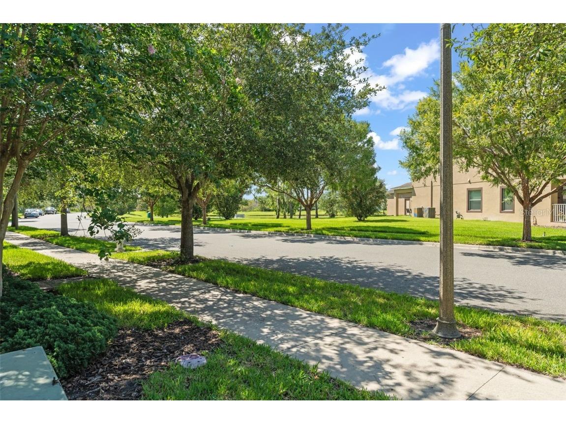 14897 Evergreen Oak Loop Winter Garden FL 34787 O6320381 image43