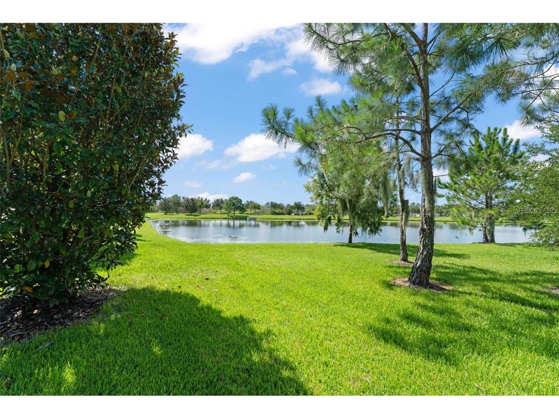 14897 Evergreen Oak Loop Winter Garden FL 34787 O6320381 image44