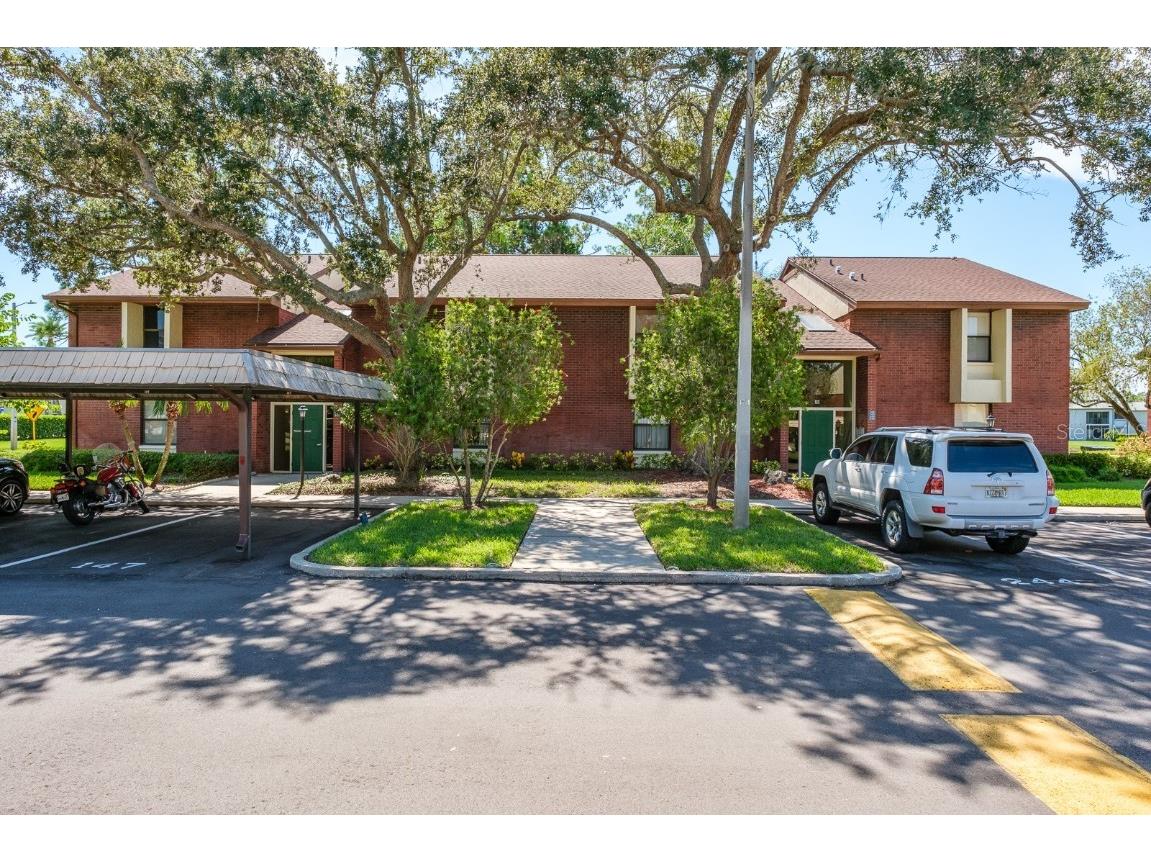 149 Caryl Way #29 Oldsmar FL 34677 U8209784 image1