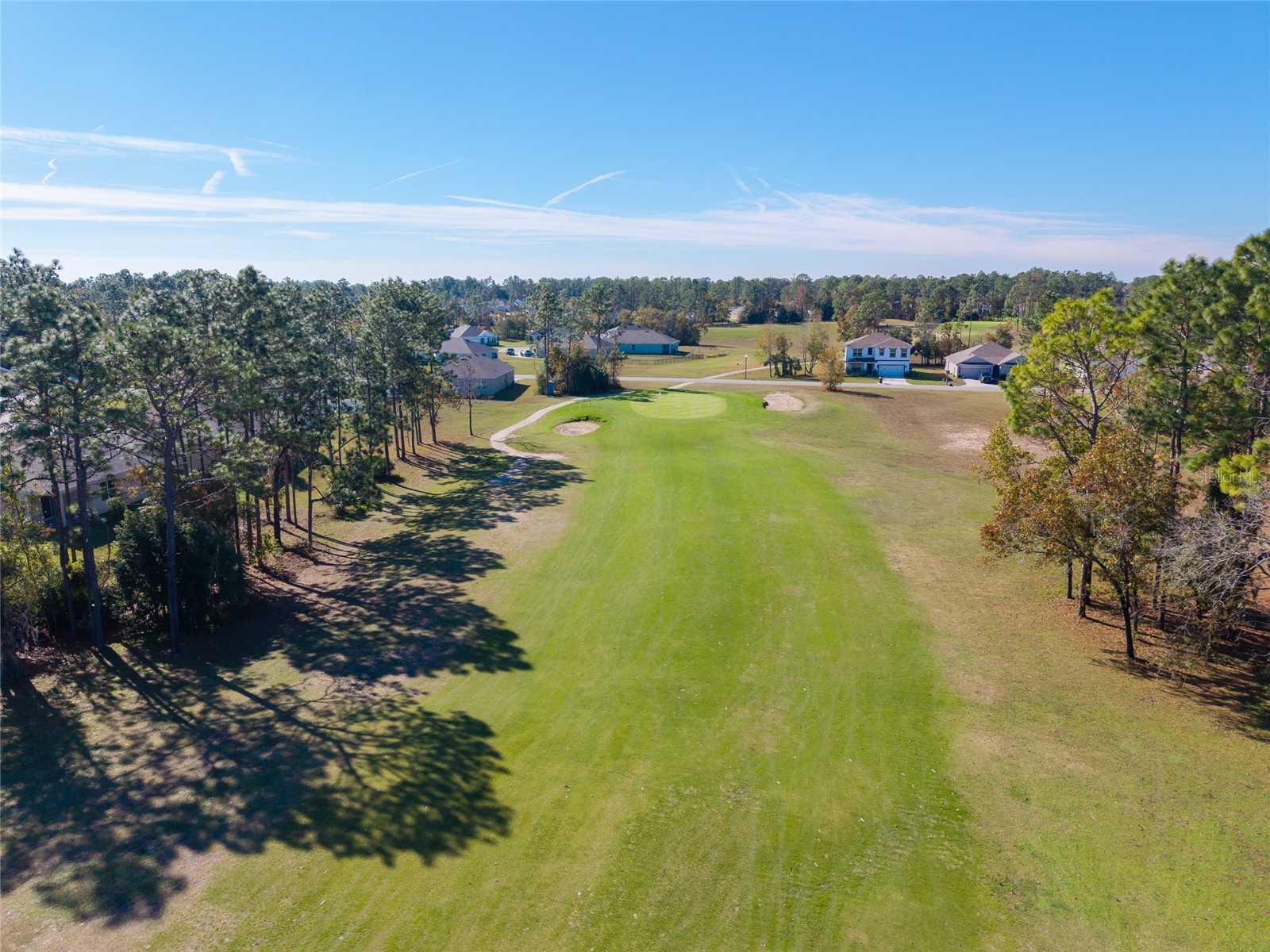 149 Hickory Course Circle Ocala FL 34472 OM723157 image73