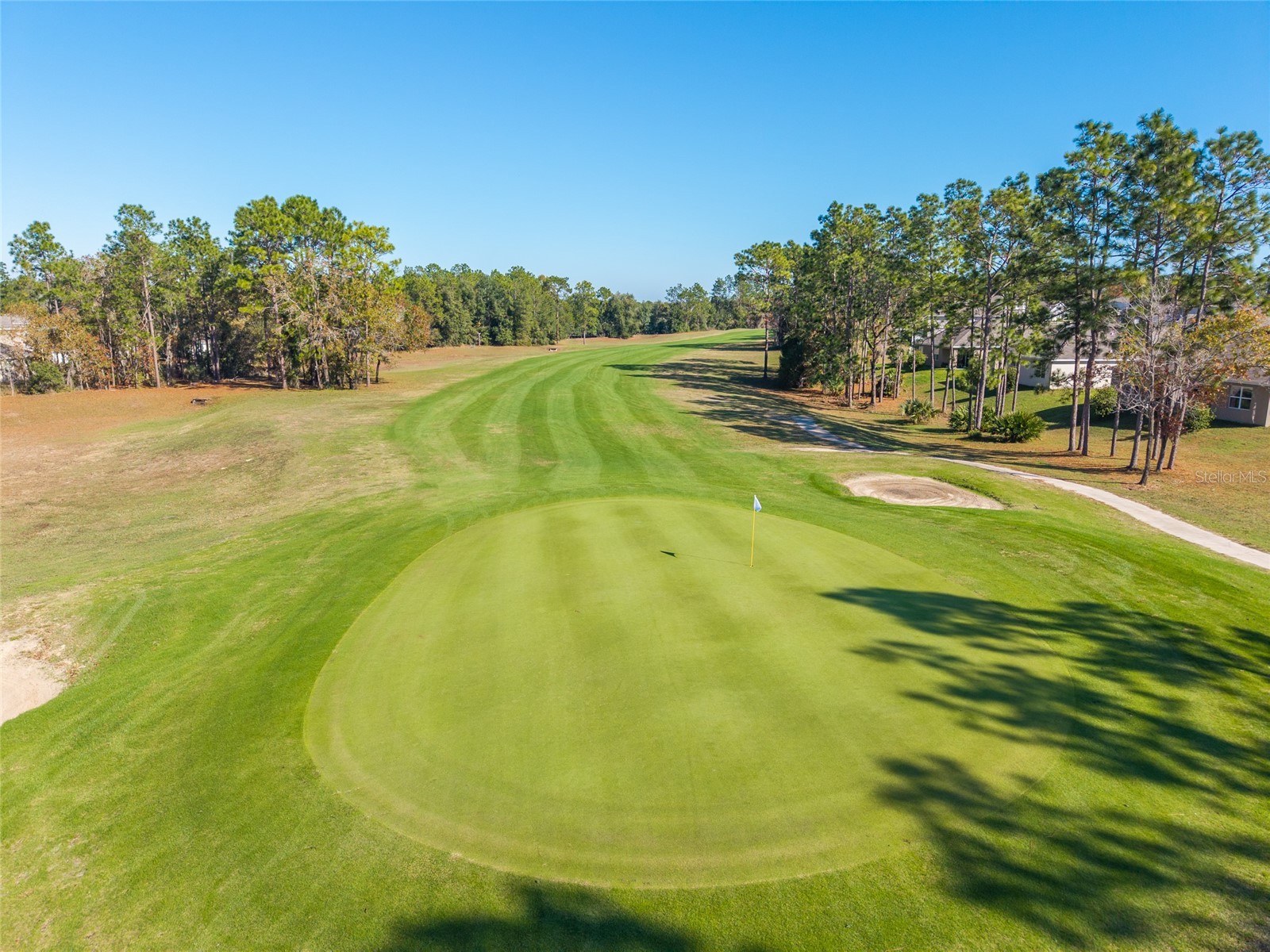 149 Hickory Course Circle Ocala FL 34472 OM723157 image74
