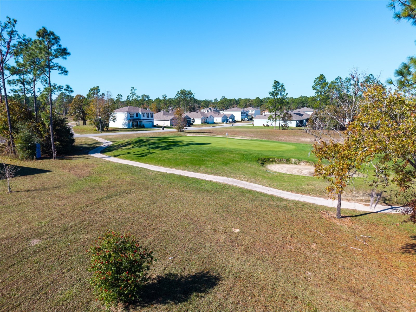 149 Hickory Course Circle Ocala FL 34472 OM723157 image75
