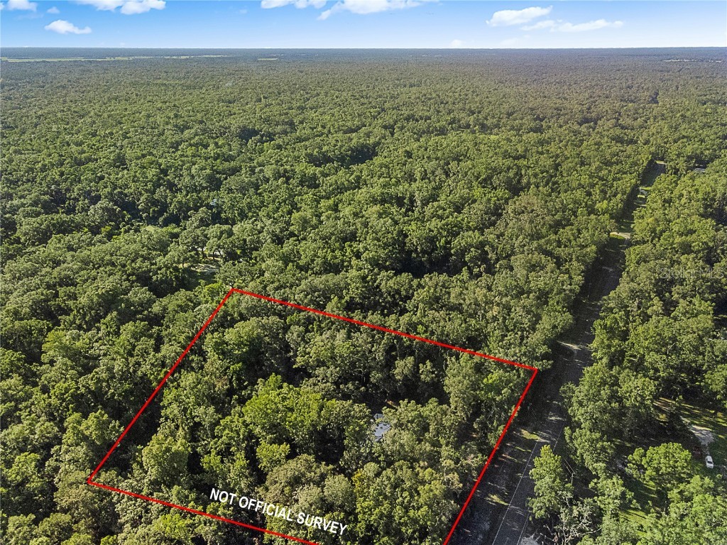 149 NE 617th Street Old Town FL 32680 GC533523 image41