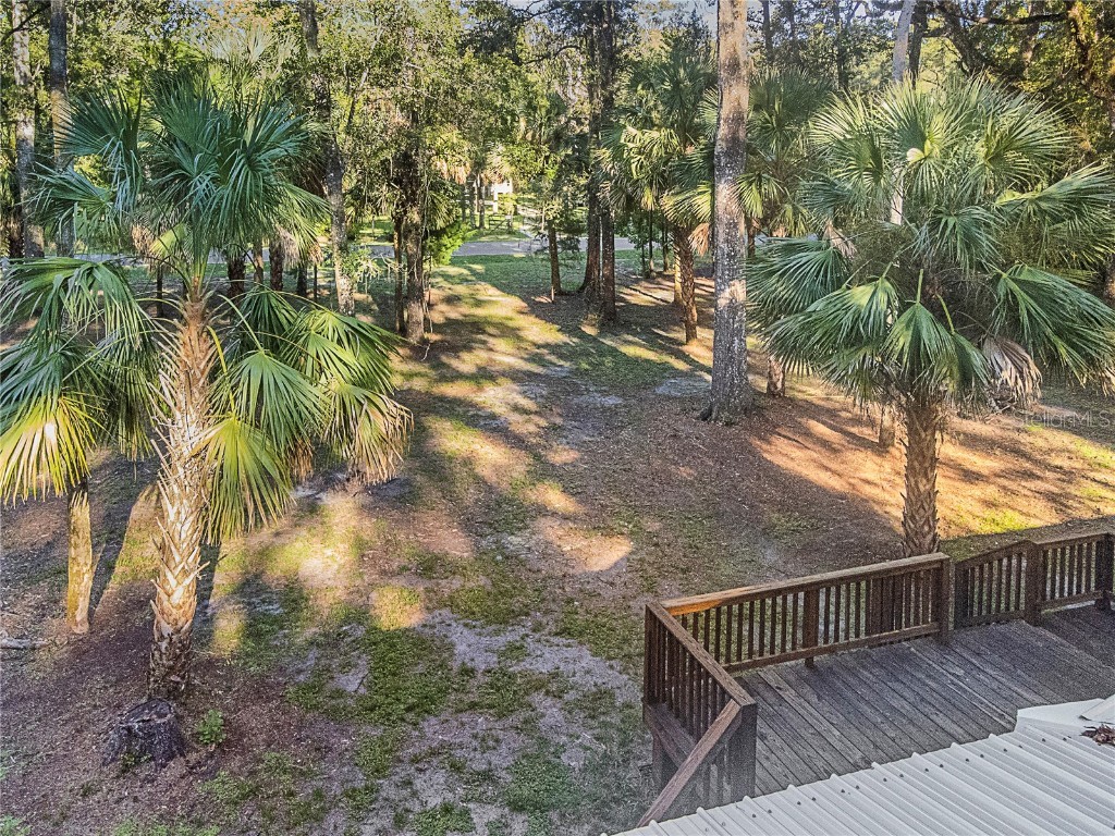 149 NE 617th Street Old Town FL 32680 GC533523 image43