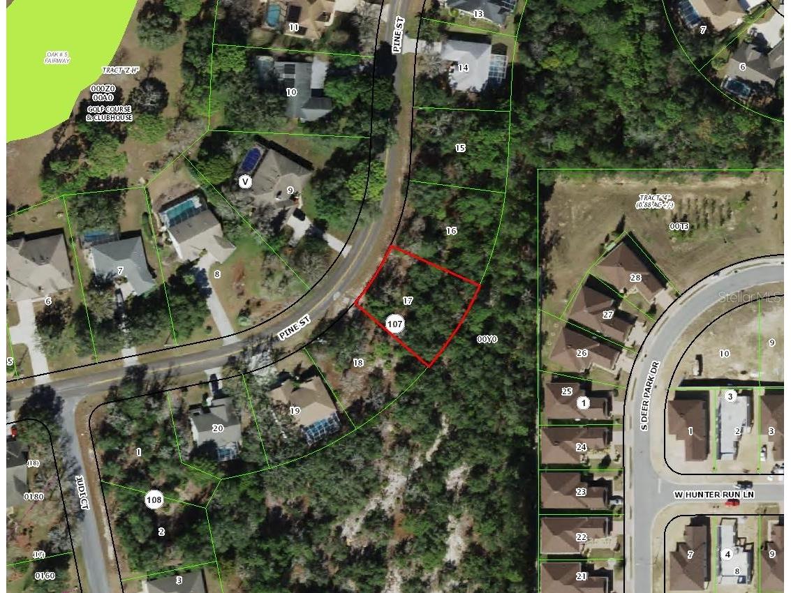 149 Pine Street Homosassa FL 34446 TB8468542 image2