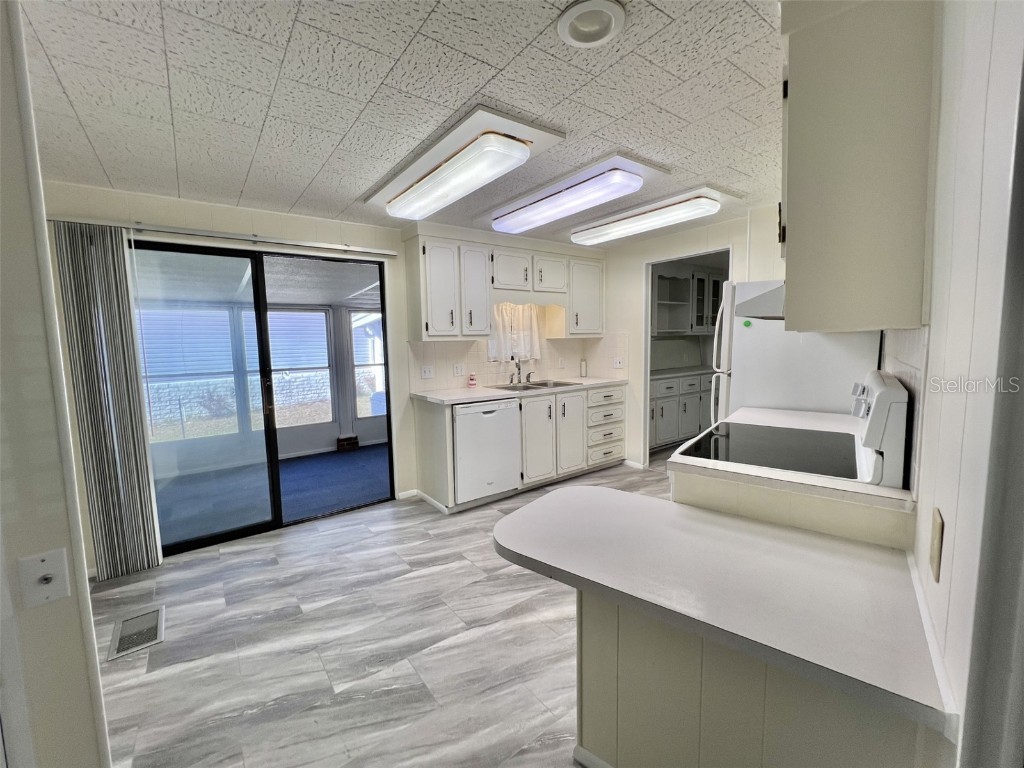 149 Royal Palm Drive Leesburg FL 34748 G5092219 image21