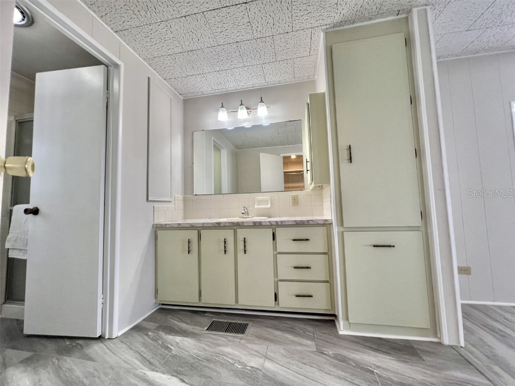 149 Royal Palm Drive Leesburg FL 34748 G5092219 image24