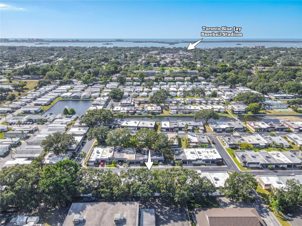 149 Sky Loch Drive E Dunedin FL 34698 TB8438359 image42