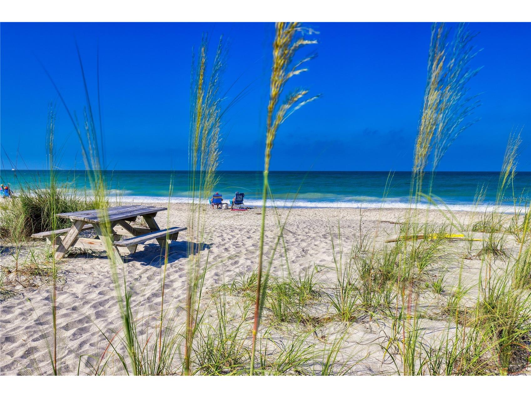 149 Soliera Street Nokomis FL 34275 C7525969 image54