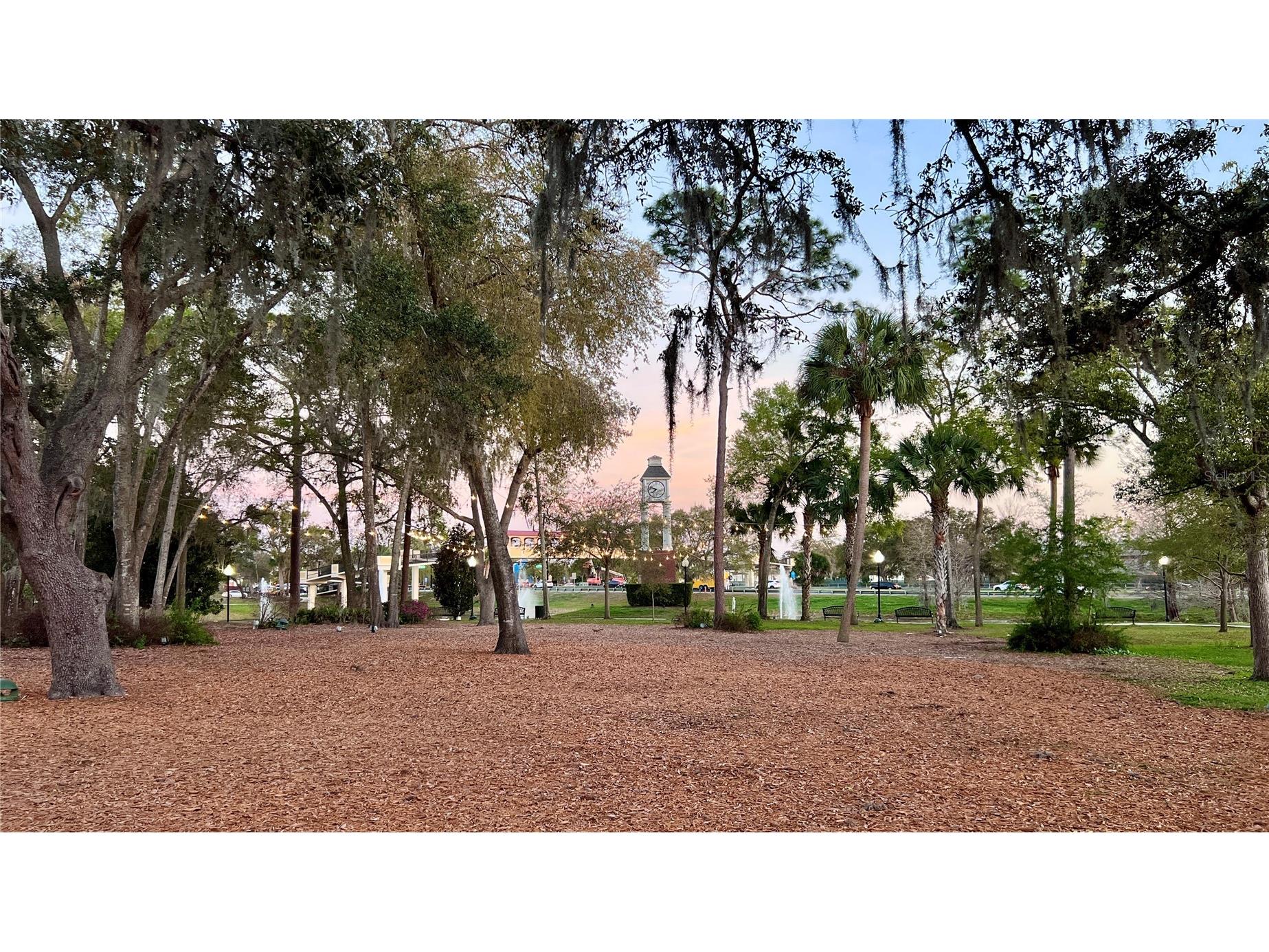 149 W Wilbur Avenue #101 Lake Mary FL 32746 O6382258 image20