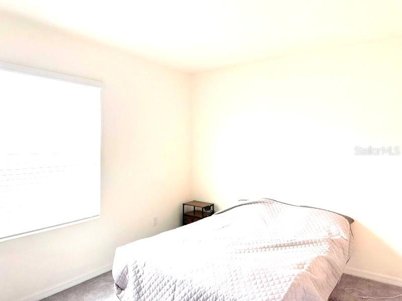 1490 Colt Creek Place Wesley Chapel FL 33543 TB8377858 image12