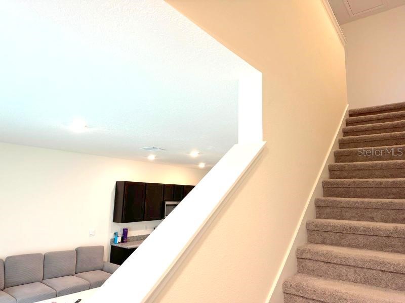 1490 Colt Creek Place Wesley Chapel FL 33543 TB8377858 image13