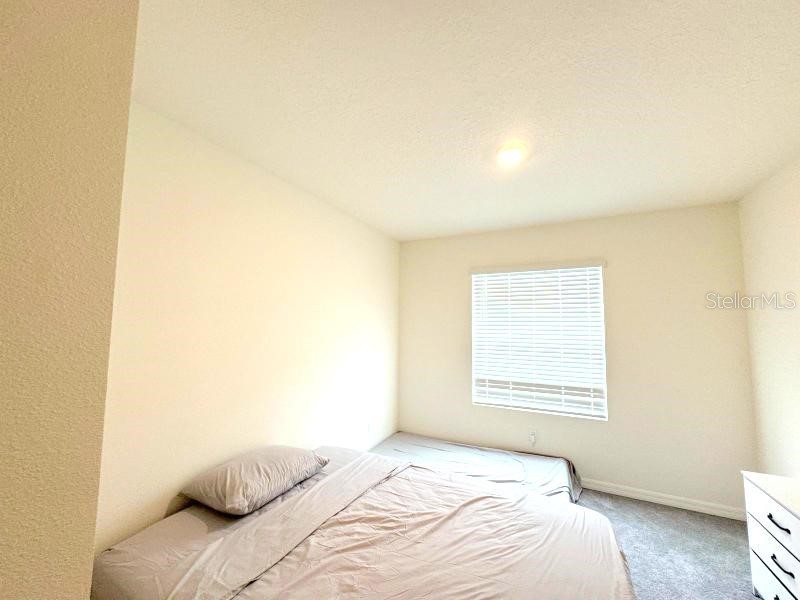 1490 Colt Creek Place Wesley Chapel FL 33543 TB8377858 image9