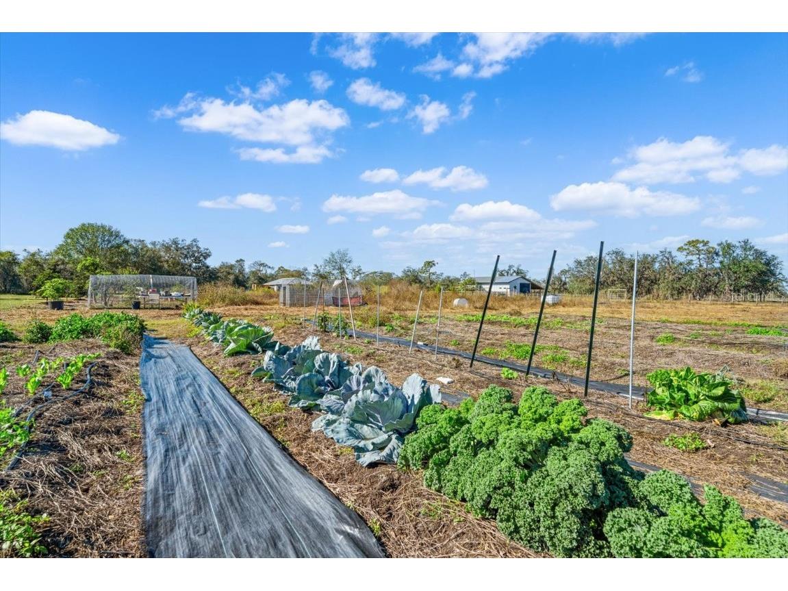 14900 Coker Gully Road Myakka City FL 34251 A4633200 image35