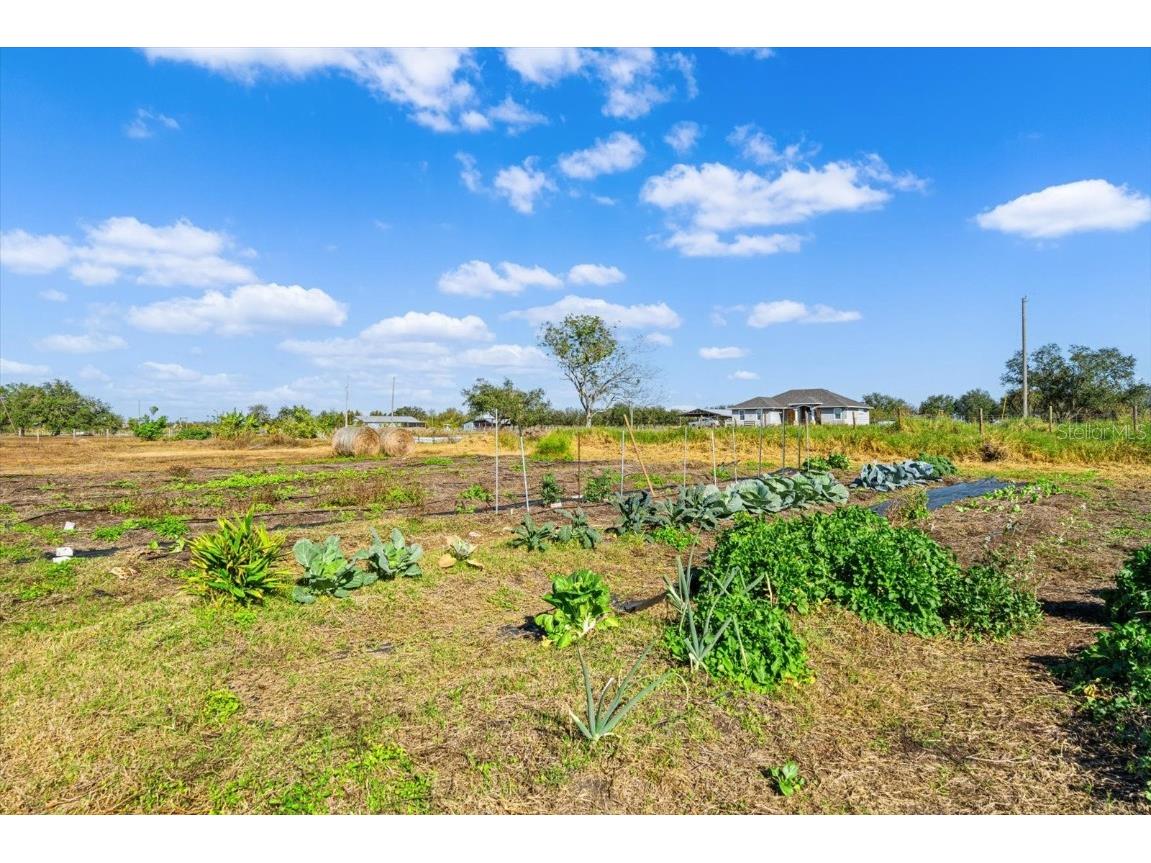 14900 Coker Gully Road Myakka City FL 34251 A4633200 image36