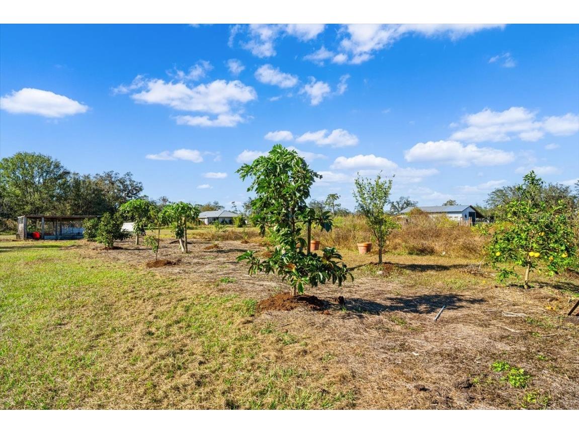 14900 Coker Gully Road Myakka City FL 34251 A4633200 image37