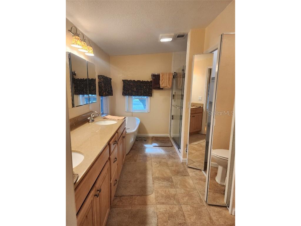 14902 Arrena Road Winter Garden FL 34787 O6248982 image24