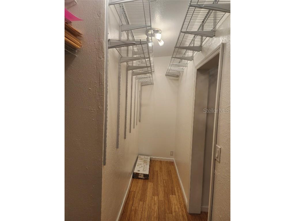 14902 Arrena Road Winter Garden FL 34787 O6248982 image26