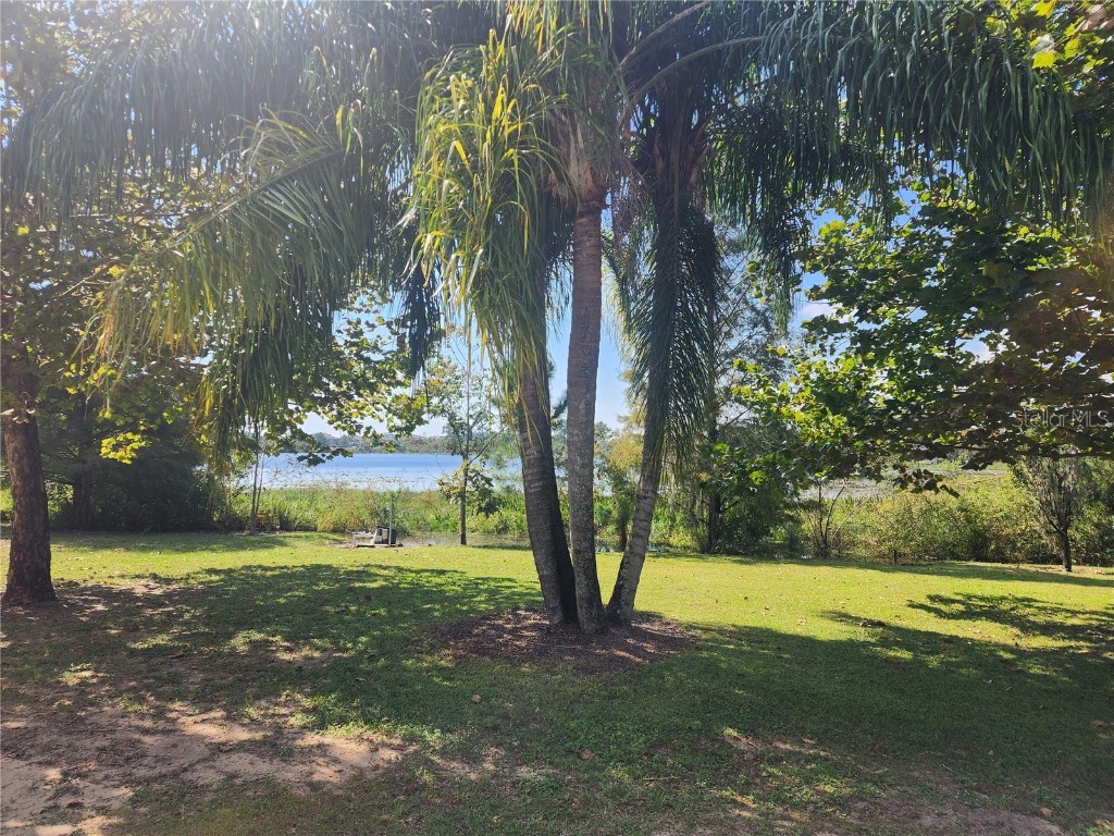 14902 Arrena Road Winter Garden FL 34787 O6248982 image4