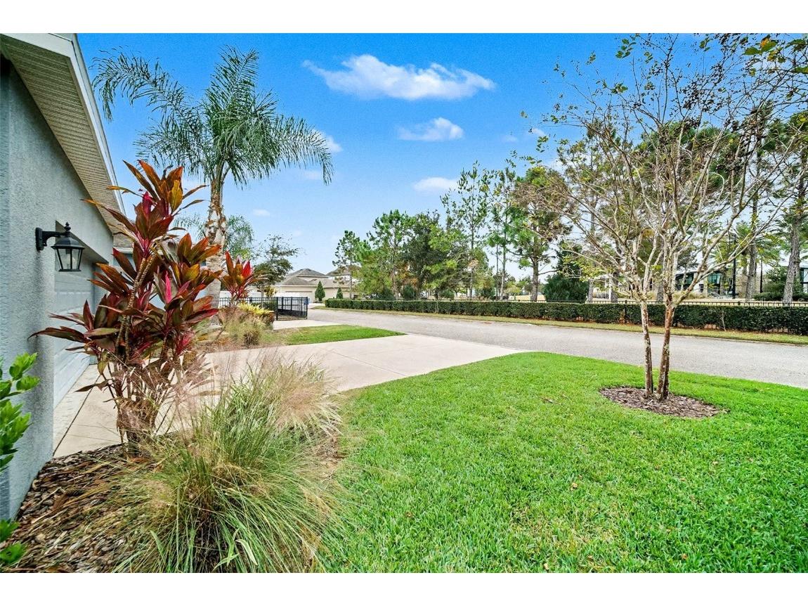 14902 Caravan Avenue Odessa FL 33556 TB8455328 image2